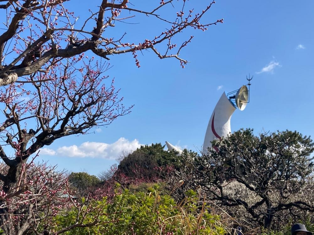 次回のお知らせ📢