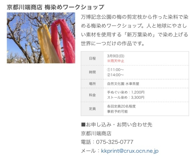 春のお知らせ📢