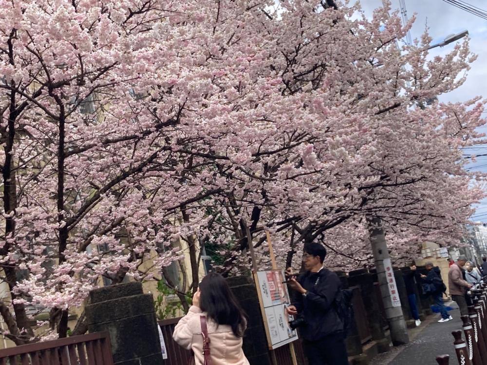 特別コース❣️