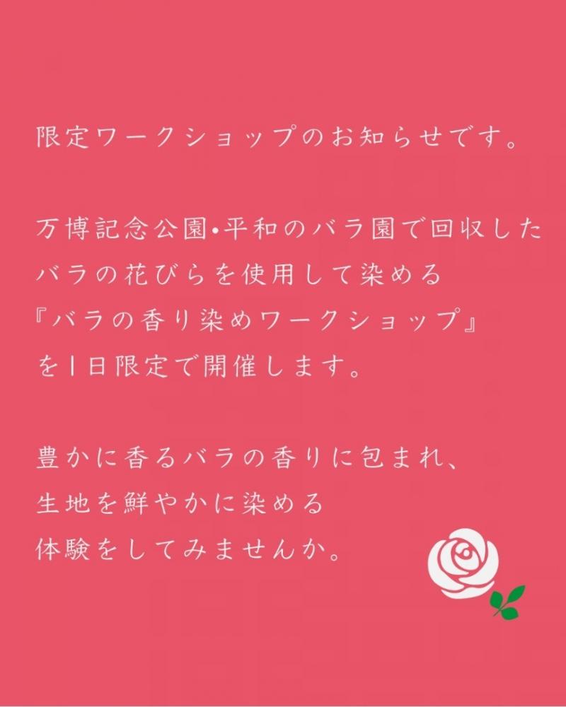月の予定🗓️